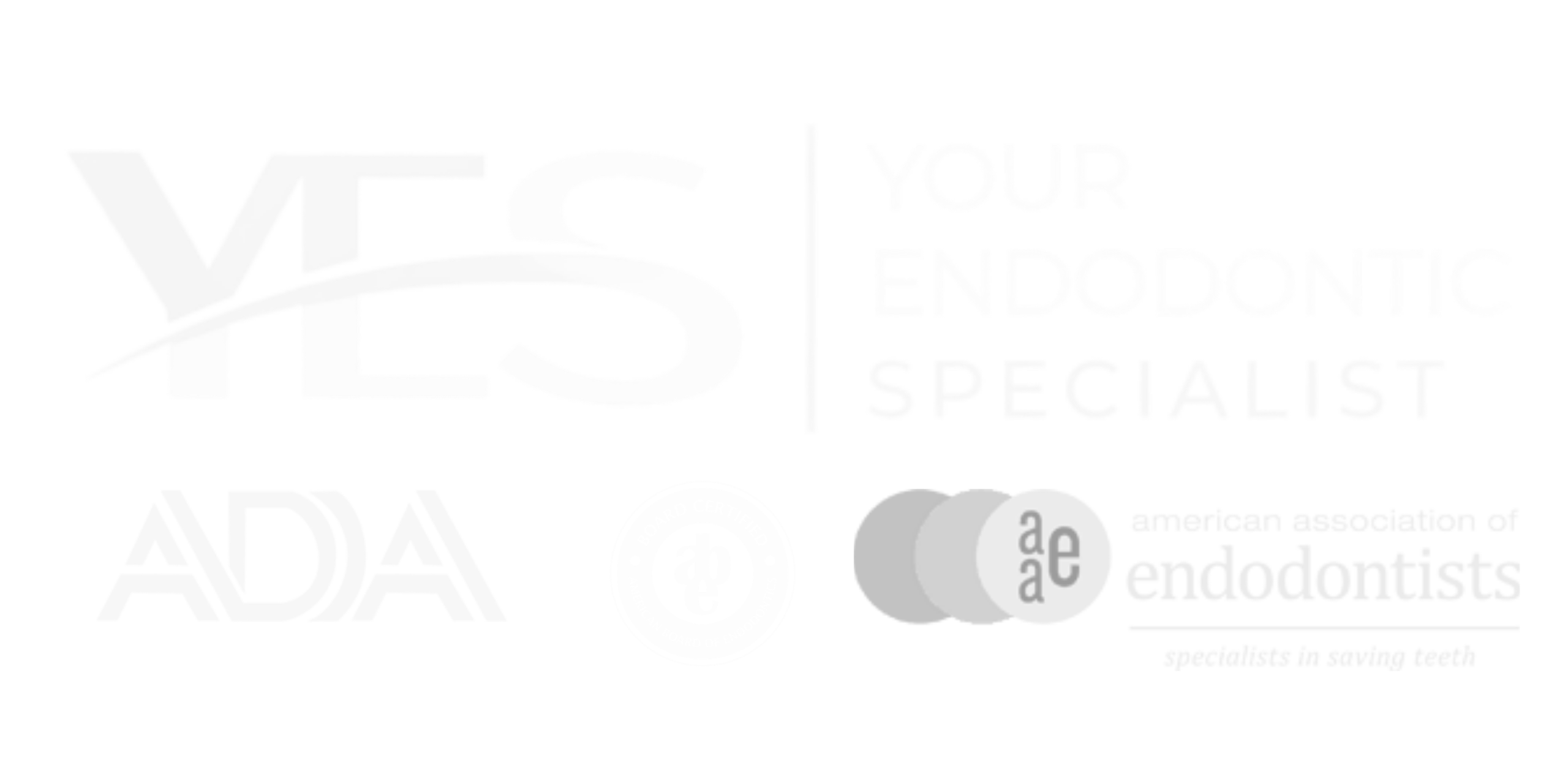 Yes Endo Footer Logo