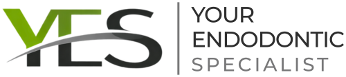 Yes Endo Logo
